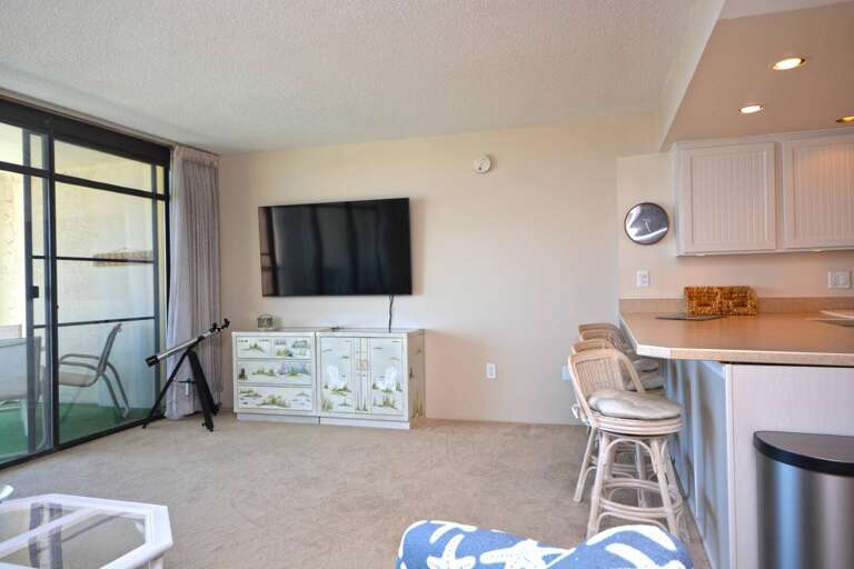 Irene 805 Living Area