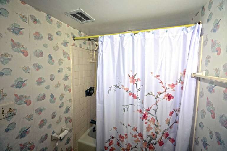 Hall Bathroom