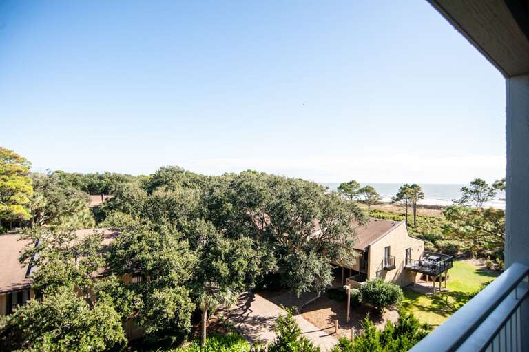 Balcony view of the trees and ocean! Balcony view of the trees and ocean!