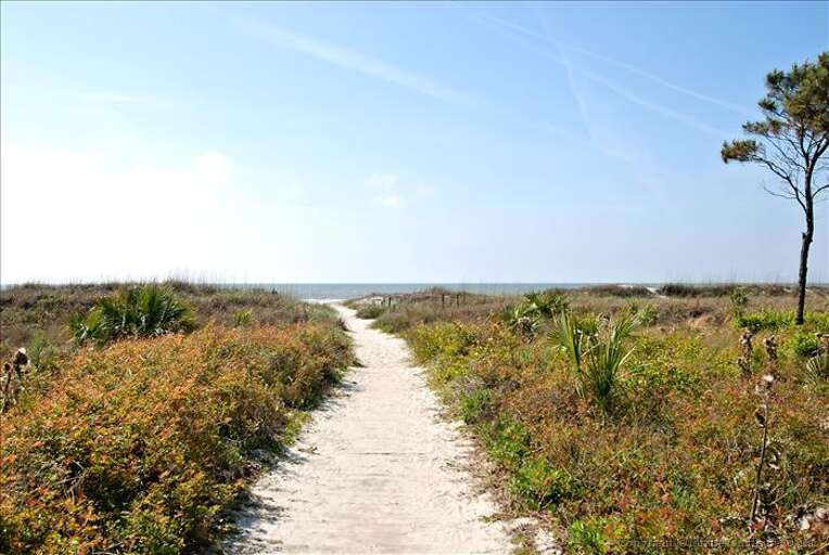 Pathway to Paradise.