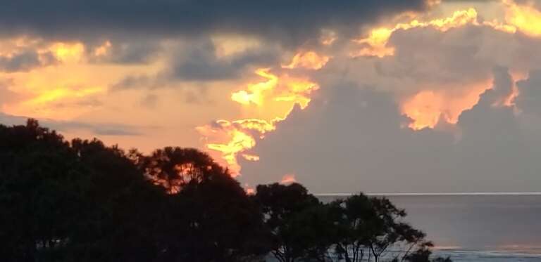 Here is view of the beautiful Hilton Head beach and Atlantic Ocean in front of the Ocean Dunes Villas.