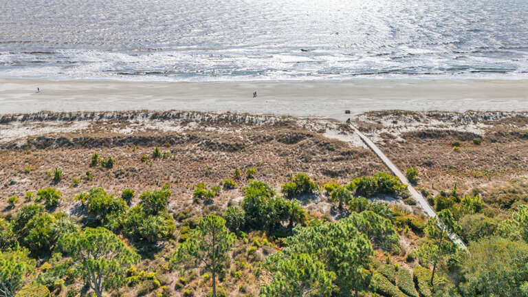 Beachside Pathway Through Vegetation Leading To Ocean