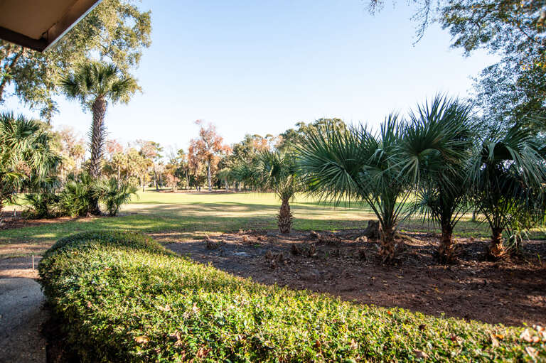 View from backyard to golf course. 