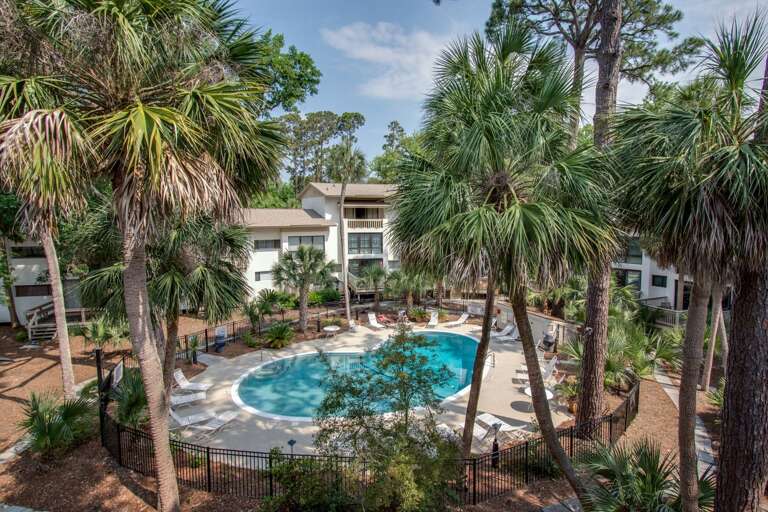 Balcony view of palm trees and pool .. enjoy and just relax !