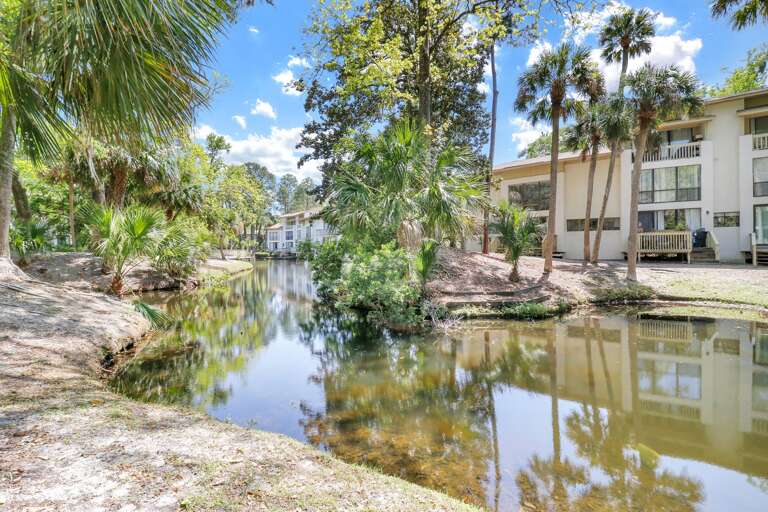 Beautiful and peaceful villa grounds. 