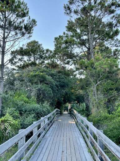 The path to the beach is just across the street from Seascape. 