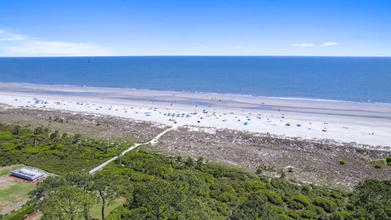 Aerial View Of Beach With Umbrellas And Foliage