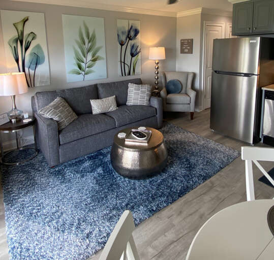 Vacation Rental Living Room With Furnishings And Kitchenette Vacation Rental Living Room With Furnishings And Kitchenette