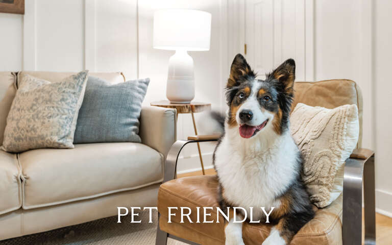 Find Rentals