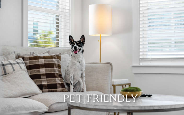 Find Rentals