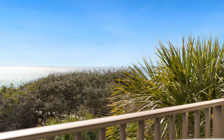 Gulf view from balcony with tropical palms and clear blue skies creating a serene coastal setting.