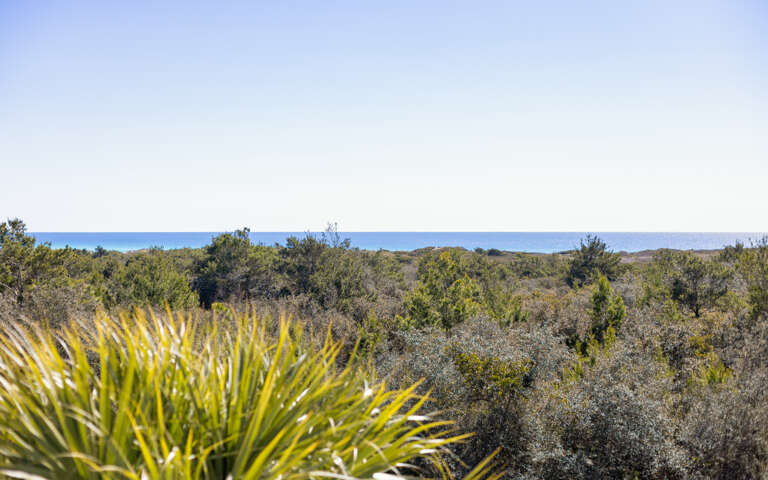 Coastal landscape with native vegetation stretching toward distant ocean views in the background.