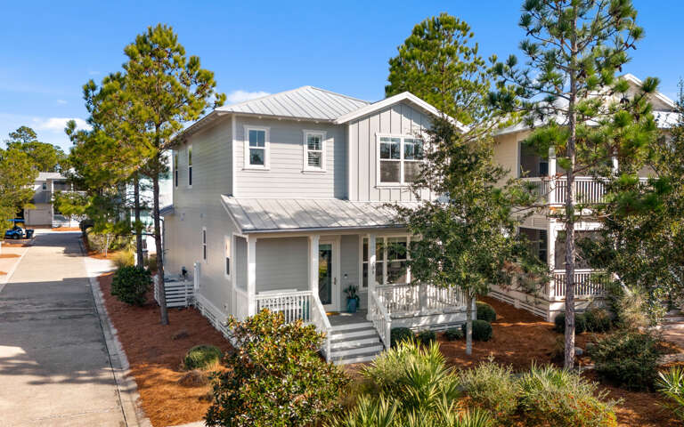 Sunlit Suburban Structure Surrounded By Slender Saplings