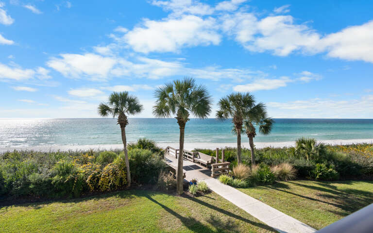 Seaside Path Framed By Palm Trees, Leading To Shimmering Sea