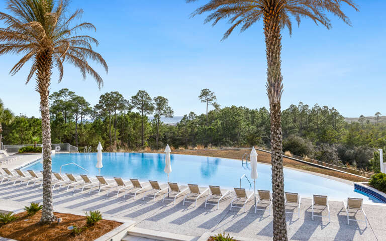 Outdoor Pool Area With Palm Trees And Sun Loungers Outdoor Pool Area With Palm Trees And Sun Loungers