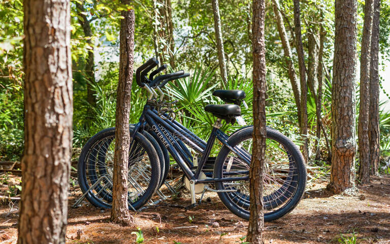 Seagrove Beach Home Rental