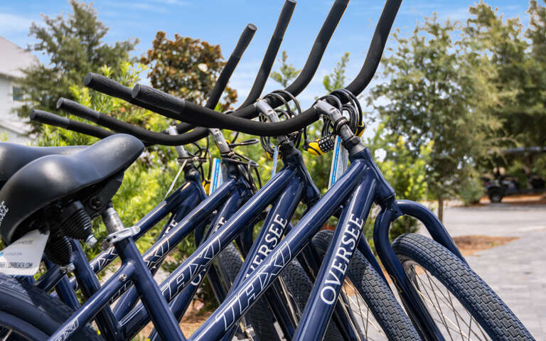 Row Of Blue Bicycles Lined Up Outdoors