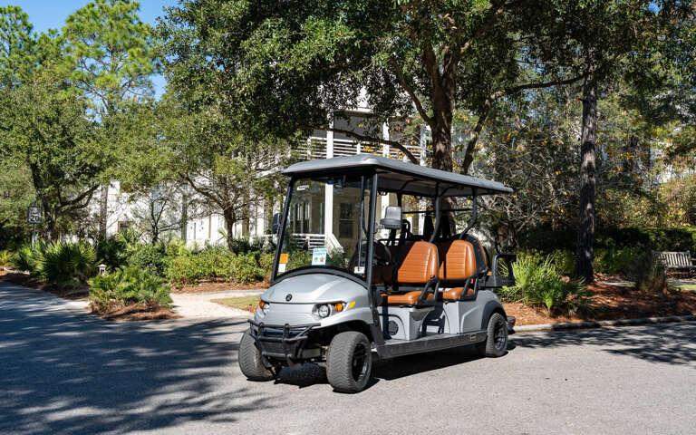 Golf Cart Parked In A Paved Area Surrounded By Trees