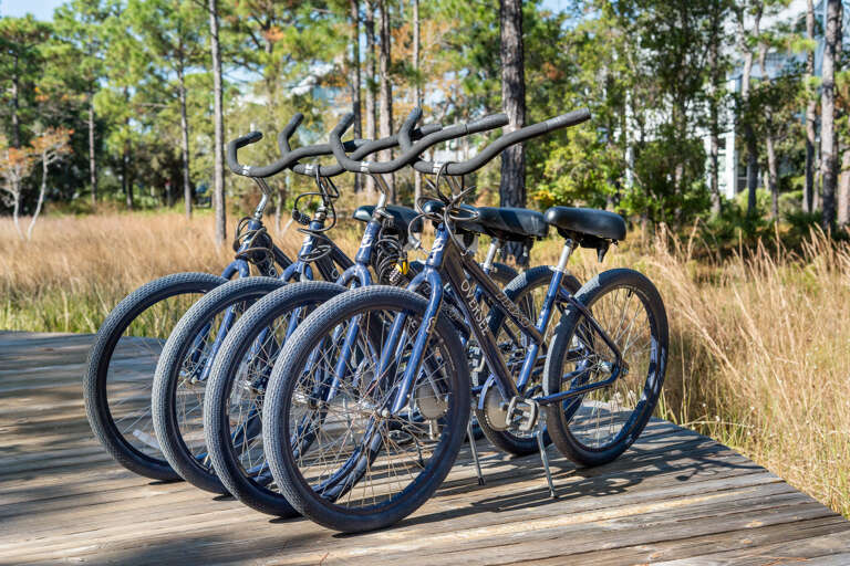 Santa Rosa Beach Home Rental