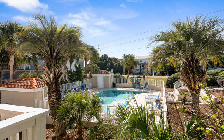 Tropical pool oasis framed by swaying palms with surrounding neighborhood views.