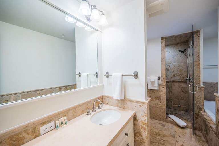 Master bathroom with a steam shower, separate bath tub and double vanities.