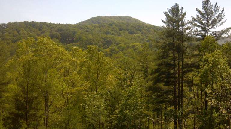 Mountain View from Deck side of cabin