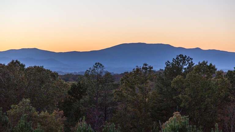Mineral Bluff Cabin Rental