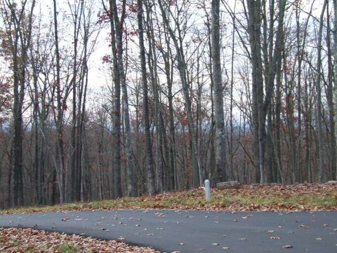 This cabin offers easy access with paved roads all the way to the cabin.  Enjoy the scenic mountain views as you drive in to the peaceful area where the cabin is located.