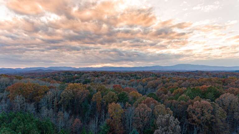 McCaysville Cabin Rental