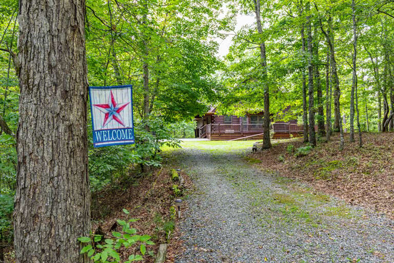 Mineral Bluff Cabin Rental