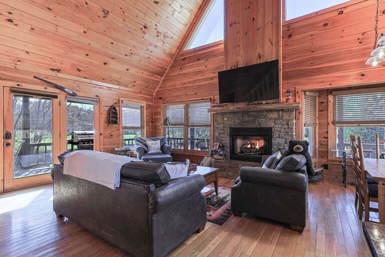 Mineral Bluff Home Rental