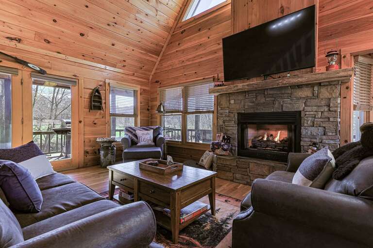 Mineral Bluff Home Rental