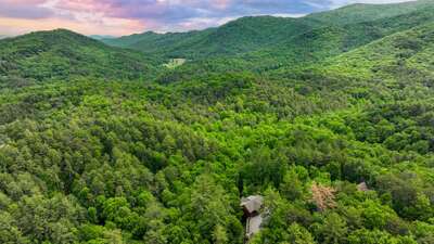 Honey Bear Lodge
