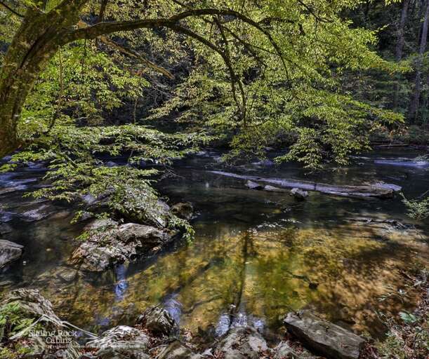 Find Rentals Find Rentals