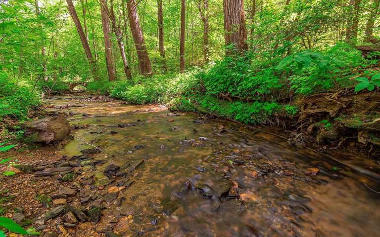 Ellijay Cabin Rental Ellijay Cabin Rental