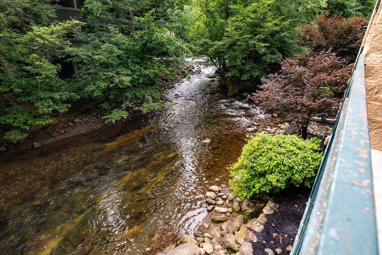 Stream Flowing Through Forest With Bridge Stream Flowing Through Forest With Bridge