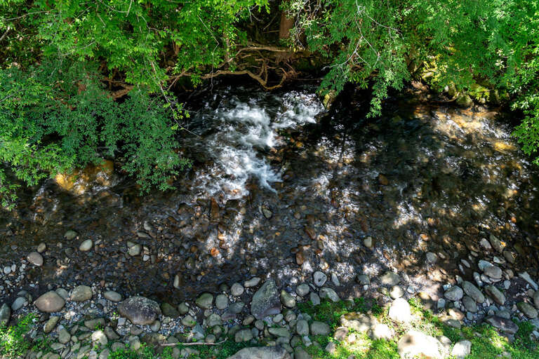 Stream Flowing Through Pebbled Bed With Surrounding Greenery Stream Flowing Through Pebbled Bed With Surrounding Greenery