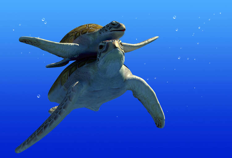 shutterstock_80423809