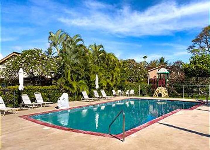 Dolphin Pool  Dolphin Pool