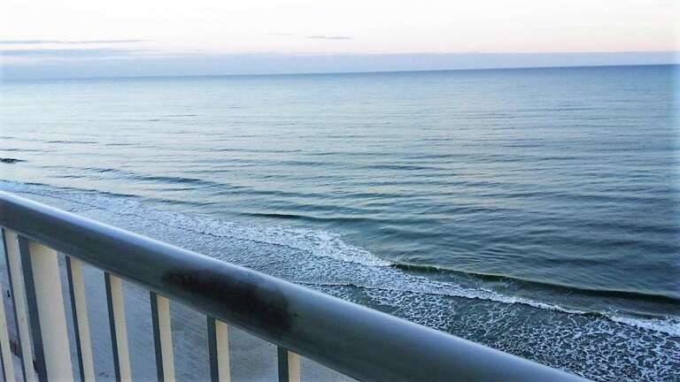 Relax with a cup of coffee in the morning while watching the waves.  You may even see a dolphin or 2...  