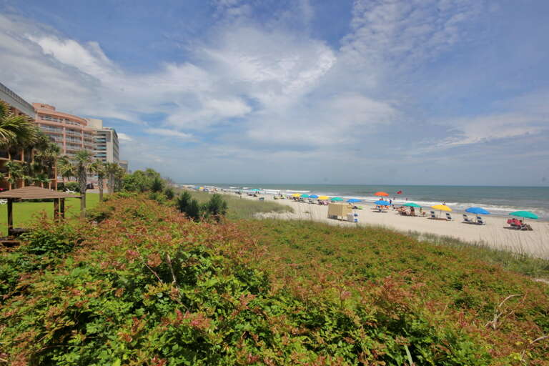 Myrtle Beach Condo Rental