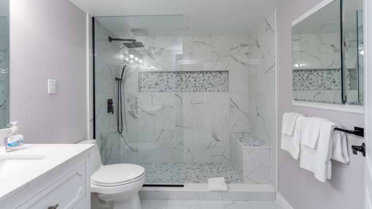 Updated Glass/Tile Shower