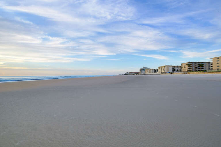 Enjoy the expansive, wide, and flat stretches of New Smyrna Beach Enjoy the expansive, wide, and flat stretches of New Smyrna Beach