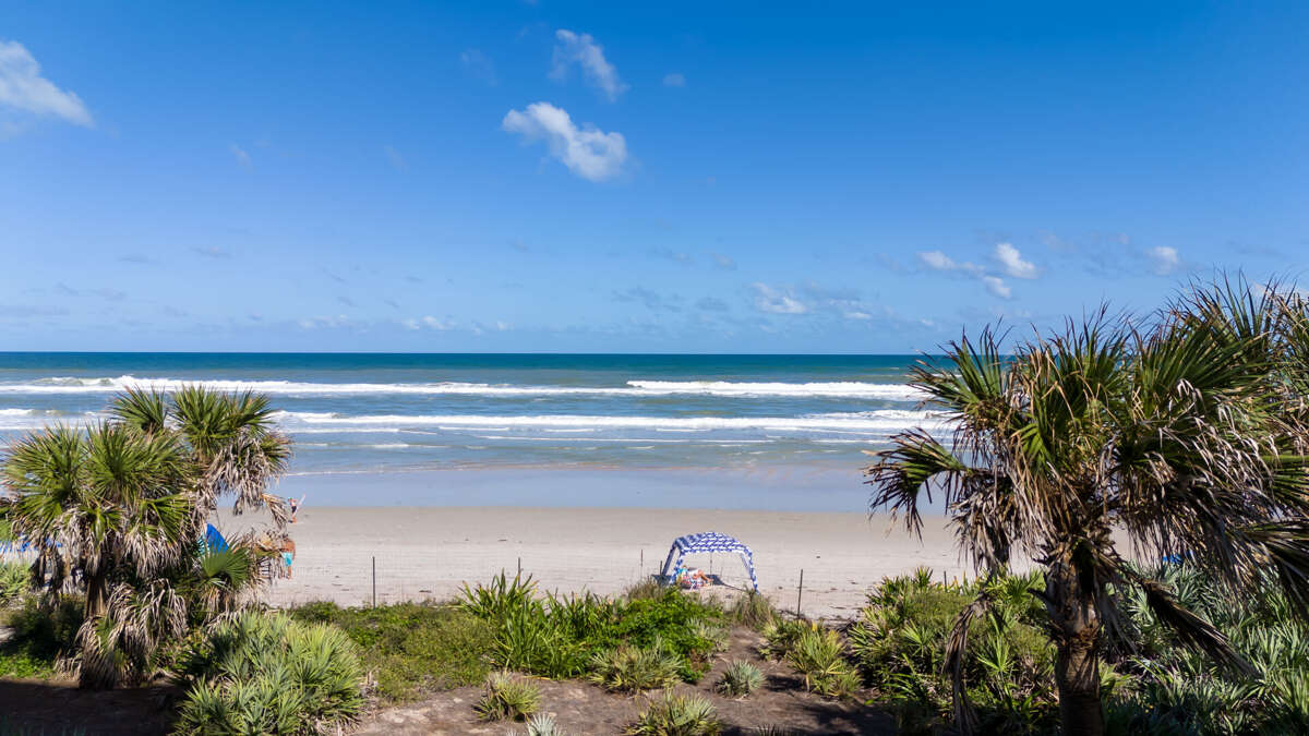 Take in the gorgeous view of the no-drive section of New Smyrna Beach from the oceanfront balcony Take in the gorgeous view of the no-drive section of New Smyrna Beach from the oceanfront balcony