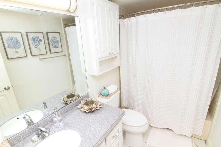 Master bathroom with tub/shower combo Master bathroom with tub/shower combo