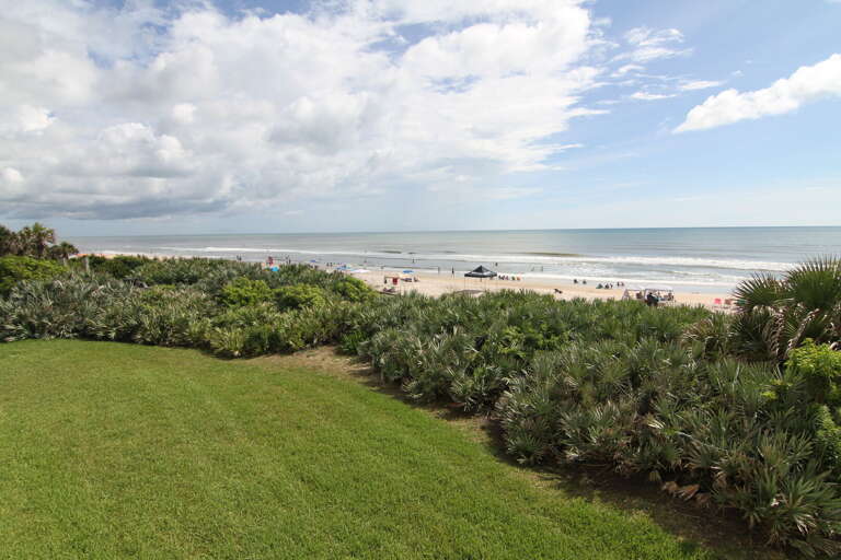 Northern view with lush green dunes Northern view with lush green dunes