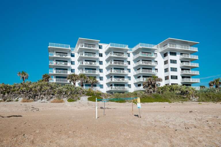 Turtle nests can be found on the beach in front of Shorehom by the Sea during turtle season