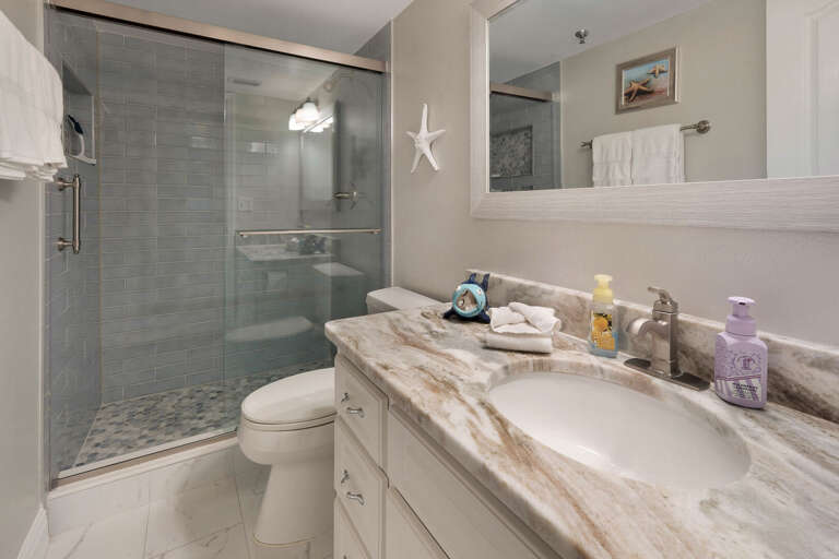 Shower in the guest bathroom.