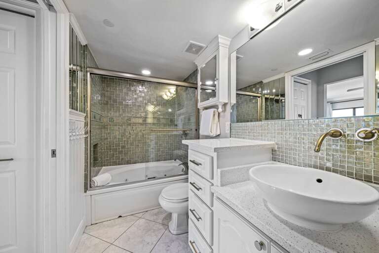 Elegant master bathroom with jacuzzi jet tub