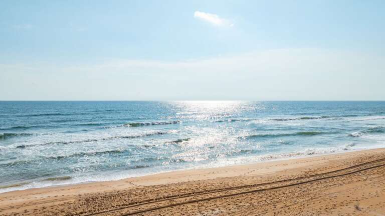 Just steps from Surfside Club South, enjoy the sun, sand, and endless ocean views of Ormond Beach. Just steps from Surfside Club South, enjoy the sun, sand, and endless ocean views of Ormond Beach.